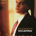 Egy kosaras naplója - DVD Amerikai film, Leonardo DiCaprio , Mark Wahlberg fotó