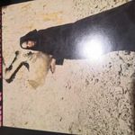 Fleetwood Mac: The Pious Bird OF Good Omen LP holland ny. fotó