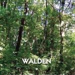 Henry David Thoreau: Walden - A polgári engedetlenség iránti kötelességről fotó