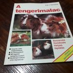 Anja J. Steinkamp - A tengerimalac (Beszerzés, gondozás, helyes táplálás) fotó