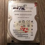 Seagate 250 gb 2.5-ös hdd 100/92%-os! fotó