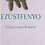 Hunyadi Csaba Zsolt: Ezüstfenyő - A karácsony könyve (*811) fotó