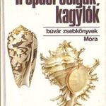 Podani - Lexa: Trópusi csigák, kagylók / Búvár zsebkönyvek (*412) fotó