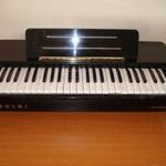 HOHNER ORGANA - ELEKTROMOS ORGONA- TÖKÉLETES ÁLLAPOTBAN - RITKASÁG fotó