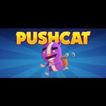 Pushcat (PC - Steam elektronikus játék licensz) fotó