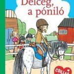 Reetta Niemela - Délceg, a póniló fotó