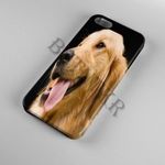 Golden Retriever kutya Nokia 6 tok hátlap tartó telefontok fotó