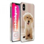 Golden retriever Xiaomi Mi 10T Lite 5G telefontok tok hátlap 4 fotó