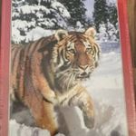 vadonat új Castroland puzzle 1000 tigris fotó