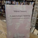 Mérei Ferenc: A pszichológiai labirintus [1989] PSZICHOLÓGIA TÁRSAS HELYZET RITKA!! fotó