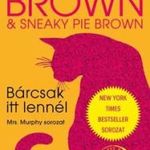 Rita Mae Brown - Bárcsak itt lennél fotó