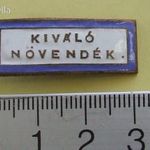 Kiváló növendék zománcos jelvény 19110321/4 fotó