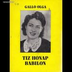 Galló Olga: Tíz hónap Babilon fotó