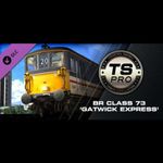 Train Simulator - BR Class 73 'Gatwick Express' Loco Add-On DLC (PC - Steam elektronikus játék li... fotó