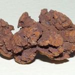 FOSSZÍLIA Dinosaur fossil defactum Coprolite, Arizona fossil dung ~ 200 millió éves fotó