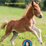 Tilly lovas történetei 5.- Kiscsillag - Rég várt t fotó