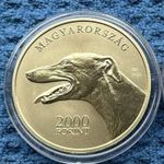 Magyar pásztor- és vadászkutyafajták: Magyar Agár 2000 Forint 2021 fotó