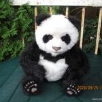 FurReal panda (D402.) fotó