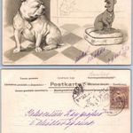 Dombornyomásos kutyás kl. bulldog. 1900 képeslap, képeslevelezőlap fotó