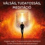 Pál Dániel - Válság, tudatosság, meditáció fotó