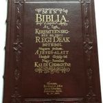 1626 Szent Biblia - Az egész keresztyénségben be-vött régi deák betűből - számozott reprint (*51) fotó