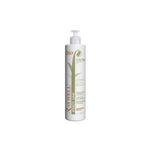 Raywell Bio Cactus Speedy Hair hajszerkezet regeneráló, 250 ml fotó