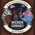 Gülü és Lülü kalandjai - Micsoda cirkusz! fotó