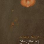 Juhász Márió - A konyhában meg Elmore James szól fotó