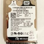 Western Digital 320GB 16MB 7200rpm SATA2 (WD3200BEKX-75B7WT0) 54. fotó