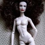 Barbie jellegű modell baba, AKCIÓ utolsó darab fotó