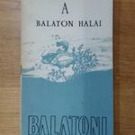 A Balaton halai. Balatoni akvárium. fotó