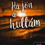 Ha jön a hullám fotó