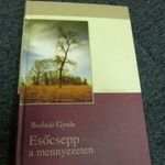 Bodnár Gyula: Esőcsepp a mennyezeten (4) fotó