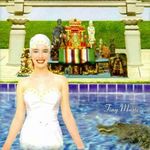 Stone Temple Pilots - Tiny Music...Songs From The Vatican Gift Shop CD fotó