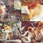 1991. Brunei , WWF Orros majom sor CARTE MAXIMUM fotó