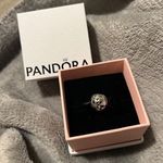 Pandora &OpenCurlyDoubleQuote;All around the world” földgömb charm fotó