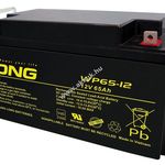 Ólom akku Long (Kung Long) típus WP65-12 Vds minősítéssel 12V 65Ah csatlakozó: M6 fotó