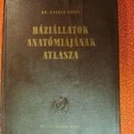 HÁZI ÁLLATOK ANATÓMIÁJÁNAK ATLASZA -RITKA. fotó