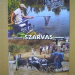 Kártyanaptár 2004 - KŐRÖSSZÖGI KHT., SZARVAS (HORGÁSZAT, LÓ, FOGATHAJTÁS) fotó