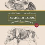 Dr Sótonyi Péter Anatómiai rajzok vadon élő állatokról ( Rajzolta Szunyoghy András ) Újszerű fotó