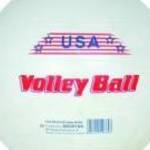 USA Volley röplabda - 21 cm fotó