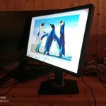 RETRO DELL 22" LCD MONITOR / modellszám: Dell P2213f Monitor/ fotó