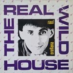 HOUSE Raul Orellana - The Real Wild House (12" Vinyl Maxi Single) fotó