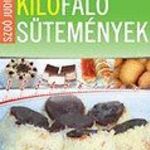 Szoó Judit: Kilófaló sütemények 0-24 óráig / Kilófaló sütemények 0-24 óráig...(OL4) fotó