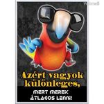 Falikép ? Attól vagyok különleges (videóvetítő opcióval) fotó