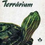 Pénzes Bethlen: Terrárium fotó