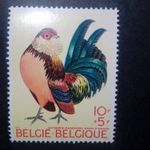 Belgium - 1969 - Kakas - önálló kiadás [Madarak] fotó