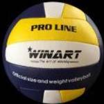 Röplabda WINART PRO LINE No.5 - Winart fotó