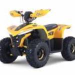 LAMAX eBumbleBee ATV60M - Lamax fotó