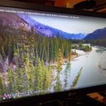 LG 22" Full HD LED monitor, DVI fotó